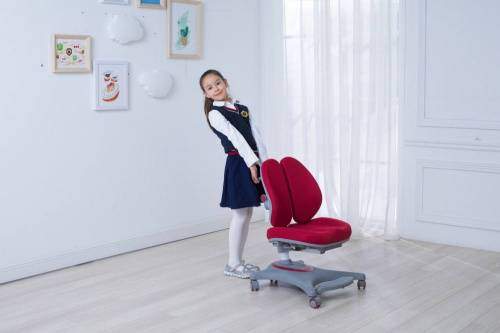 Ортопедическое детское кресло Progress Kid Max V6 Бордовый