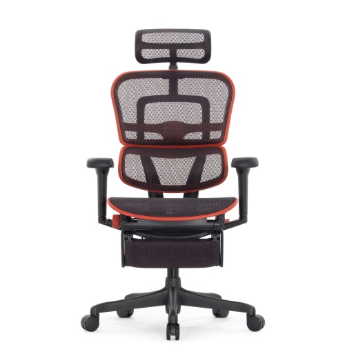Ортопедическое кресло Falto Comfort Ergohuman Ultra X9