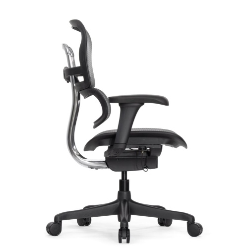 Ортопедическое кресло Falto Ergohuman 2 Project Ортопедическое кресло Falto Ergohuman 2 Project